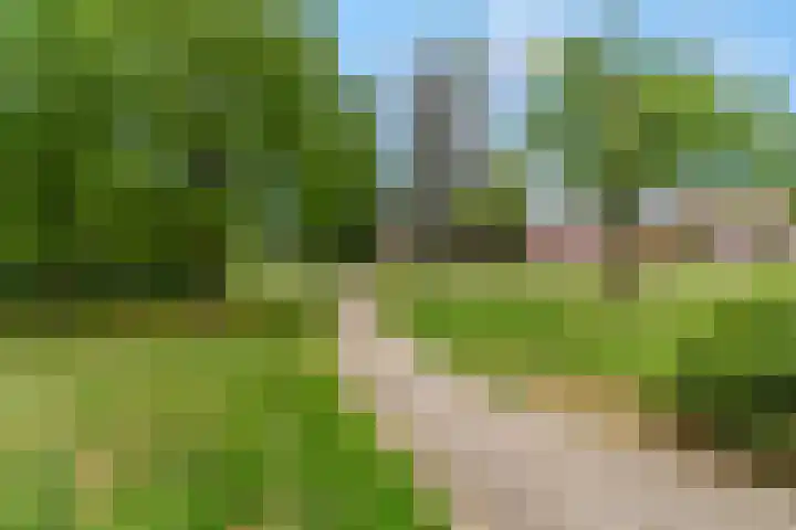 Van der Duyn van Maasdamstraat 4 Elst thumbnail 36