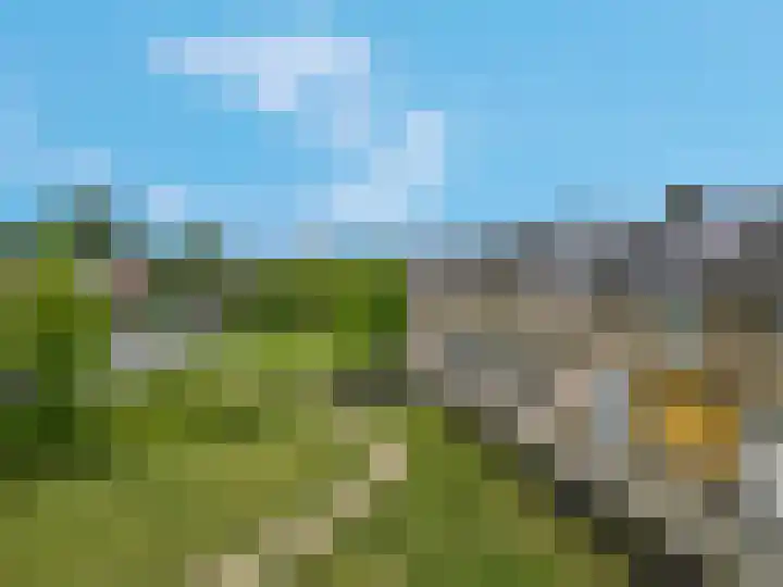 Van der Duyn van Maasdamstraat 4 Elst thumbnail 37