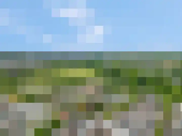 Van der Duyn van Maasdamstraat 4 Elst thumbnail 38