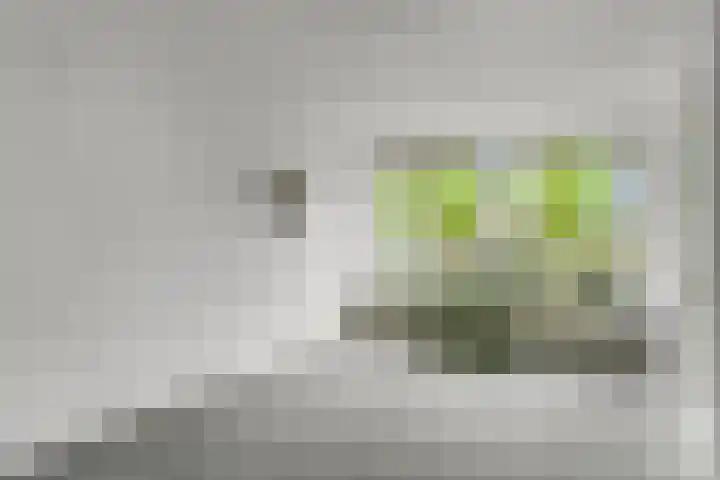 Van der Duyn van Maasdamstraat 4 Elst thumbnail 8