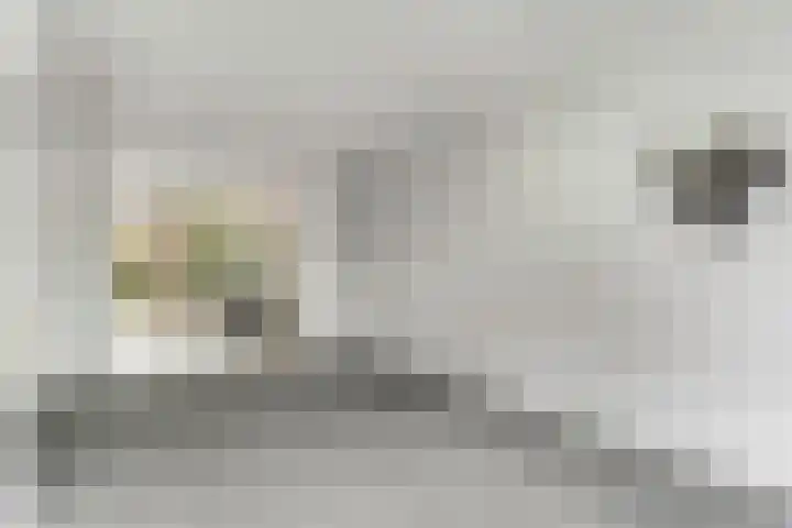 Van der Duyn van Maasdamstraat 4 Elst thumbnail 9