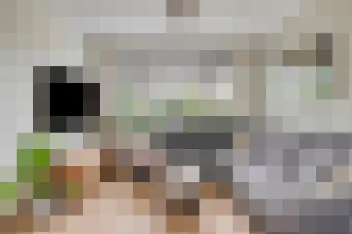 Van der Duyn van Maasdamstraat 4 Oss thumbnail 11