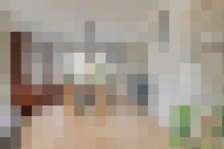 Van der Duyn van Maasdamstraat 4 Oss thumbnail 12