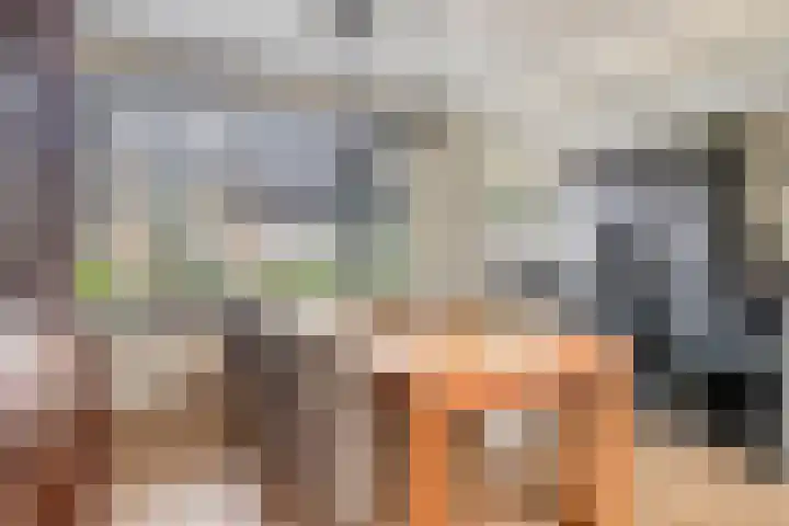 Van der Duyn van Maasdamstraat 4 Oss thumbnail 14