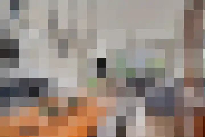 Van der Duyn van Maasdamstraat 4 Oss thumbnail 15