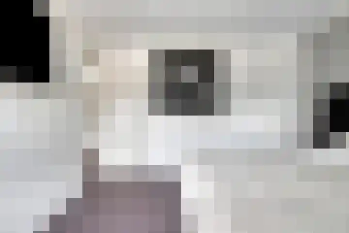 Van der Duyn van Maasdamstraat 4 Oss thumbnail 19