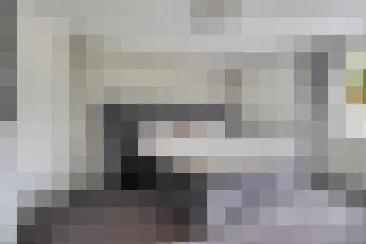 Van der Duyn van Maasdamstraat 4 Oss thumbnail 4