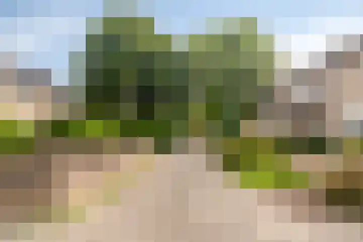 Van der Duyn van Maasdamstraat 4 Oss thumbnail 7