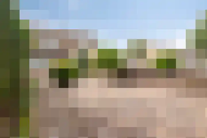 Van der Duyn van Maasdamstraat 4 Oss thumbnail 8