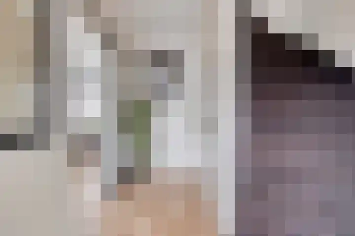Van der Duyn van Maasdamstraat 4 Oss thumbnail 9
