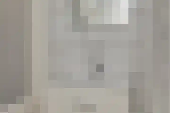 Van der Duyn van Maasdamstraat 42 Oss thumbnail 17
