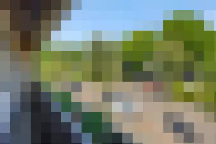 Van der Duyn van Maasdamstraat 42 Oss thumbnail 24