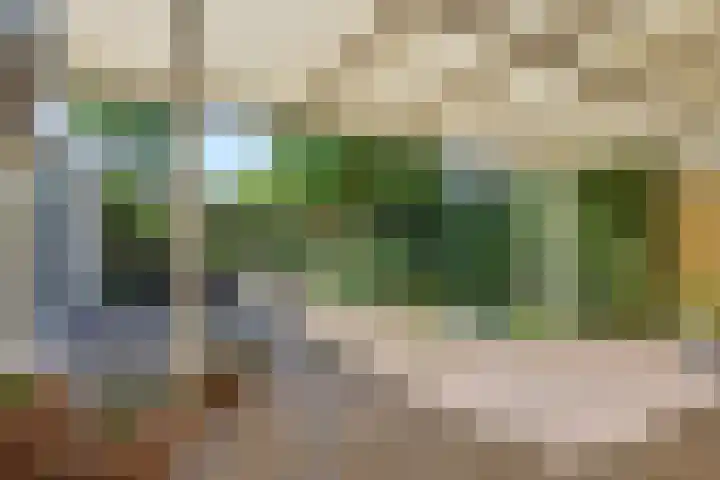 Van der Duyn van Maasdamstraat 42 Oss thumbnail 30