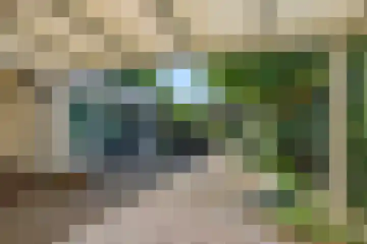 Van der Duyn van Maasdamstraat 42 Oss thumbnail 31