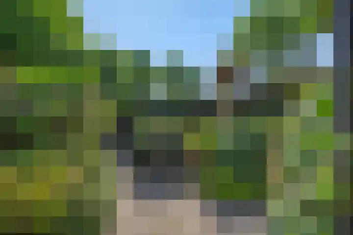 Van der Duyn van Maasdamstraat 42 Oss thumbnail 32