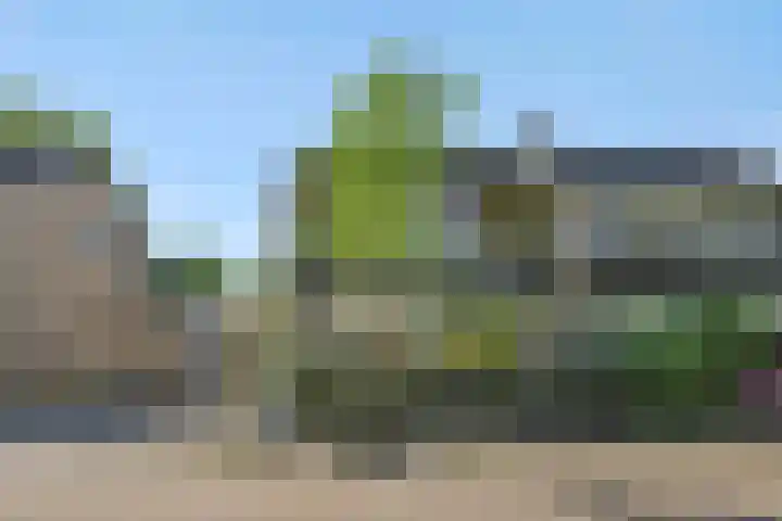 Van der Duyn van Maasdamstraat 42 Oss thumbnail 40