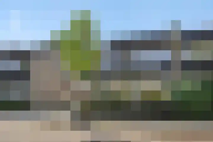 Van der Duyn van Maasdamstraat 42 Oss thumbnail 41