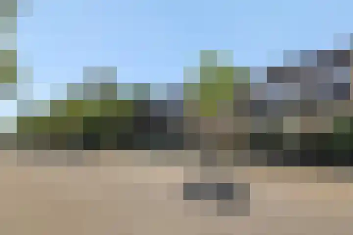 Van der Duyn van Maasdamstraat 42 Oss thumbnail 42