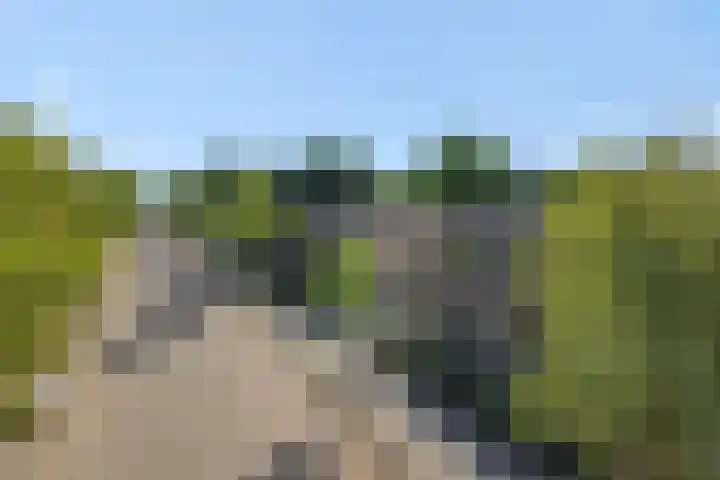 Van der Duyn van Maasdamstraat 42 Oss thumbnail 43