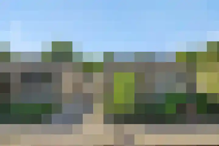 Van der Duyn van Maasdamstraat 42 Oss thumbnail 45