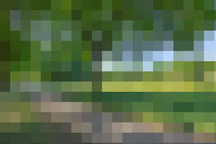 Van der Duyn van Maasdamstraat 42 Oss thumbnail 48