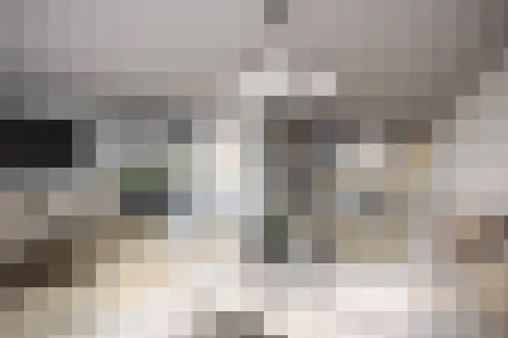 Van der Duyn van Maasdamstraat 42 Oss thumbnail 5
