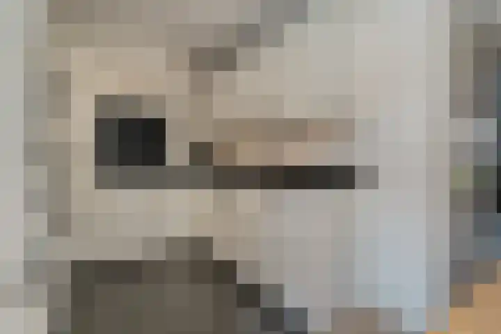 Van der Duyn van Maasdamstraat 56 Bergentheim thumbnail 17