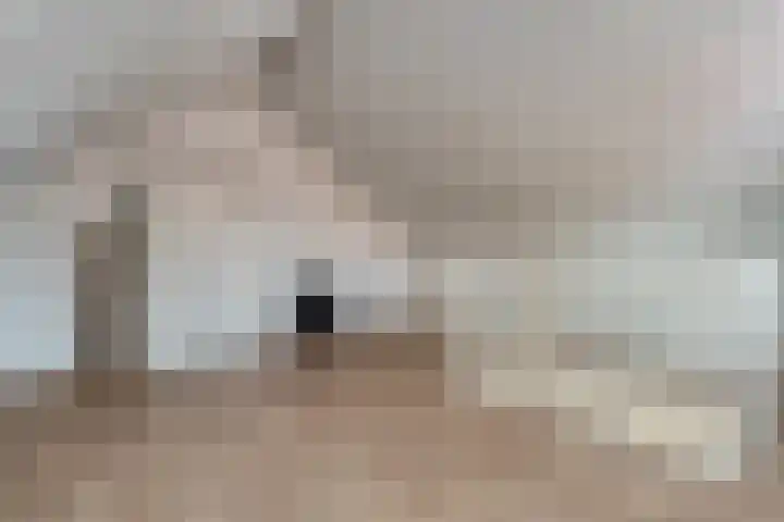 Van der Duyn van Maasdamstraat 56 Bergentheim thumbnail 36