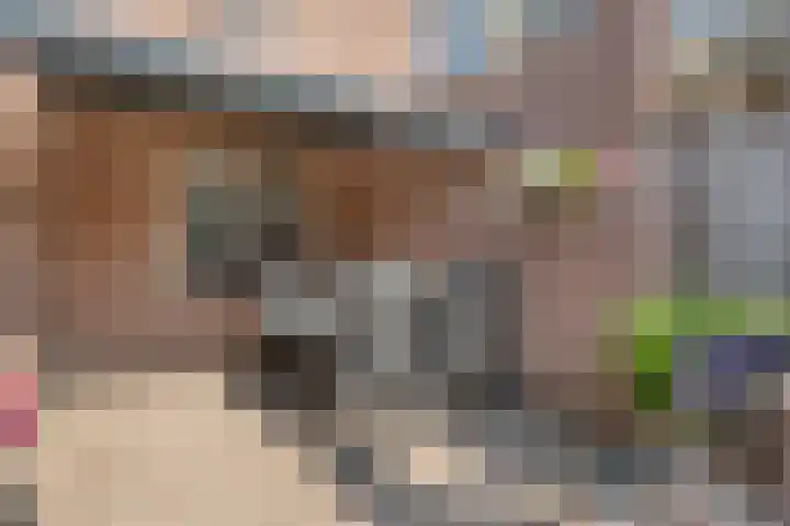 Van der Duyn van Maasdamstraat 56 Bergentheim thumbnail 39