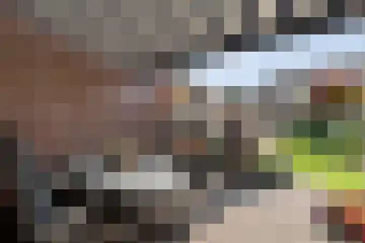 Van der Duyn van Maasdamstraat 56 Bergentheim thumbnail 40