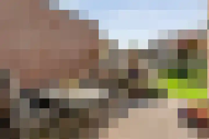 Van der Duyn van Maasdamstraat 56 Bergentheim thumbnail 41