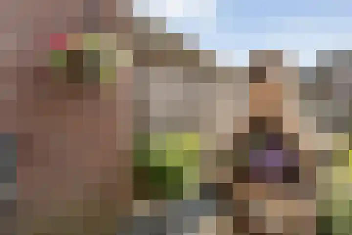 Van der Duyn van Maasdamstraat 56 Bergentheim thumbnail 42