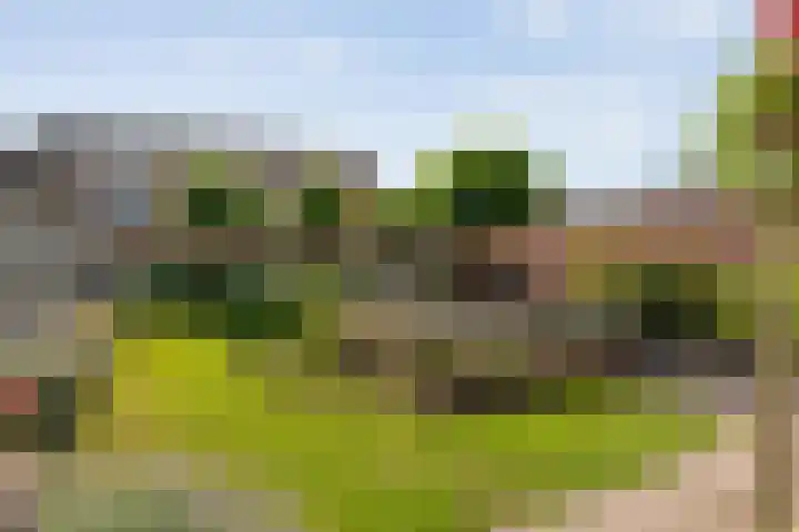 Van der Duyn van Maasdamstraat 56 Bergentheim thumbnail 49