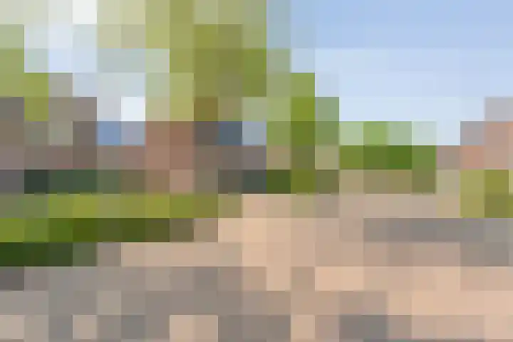 Van der Duyn van Maasdamstraat 56 Bergentheim thumbnail 5