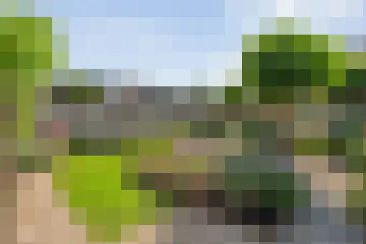 Van der Duyn van Maasdamstraat 56 Bergentheim thumbnail 50