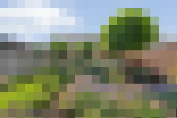 Van der Duyn van Maasdamstraat 56 Bergentheim thumbnail 52