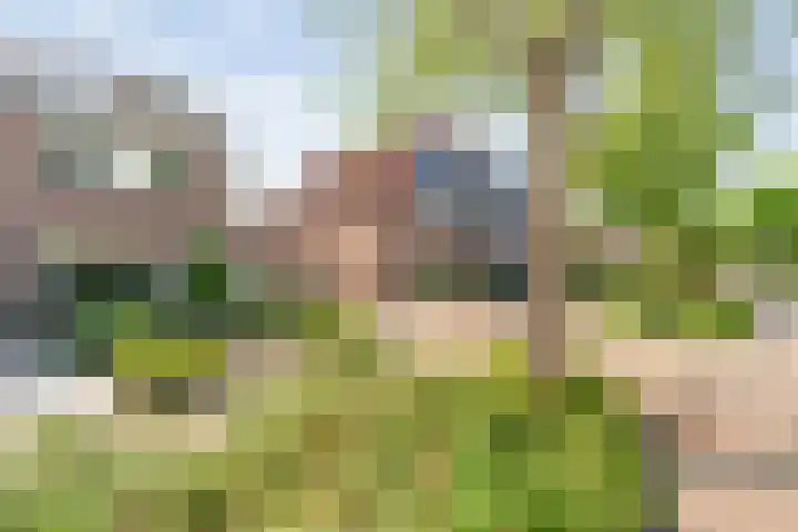 Van der Duyn van Maasdamstraat 56 Bergentheim thumbnail 55