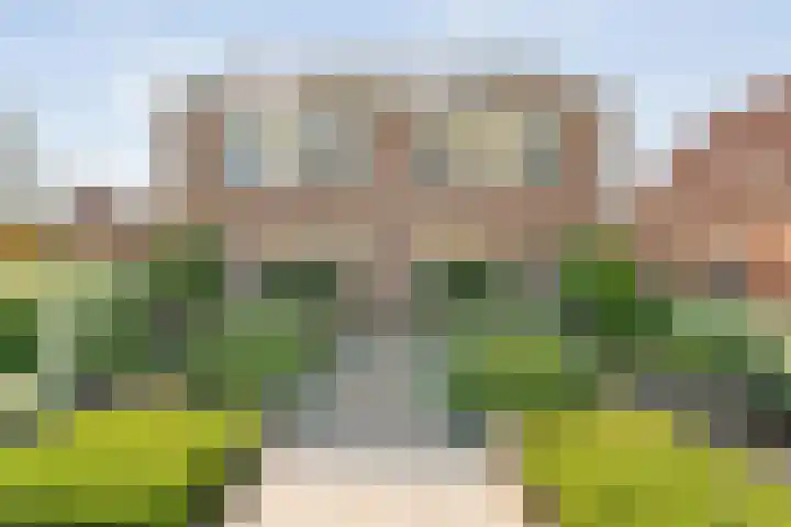 Van der Duyn van Maasdamstraat 56 Bergentheim thumbnail 6
