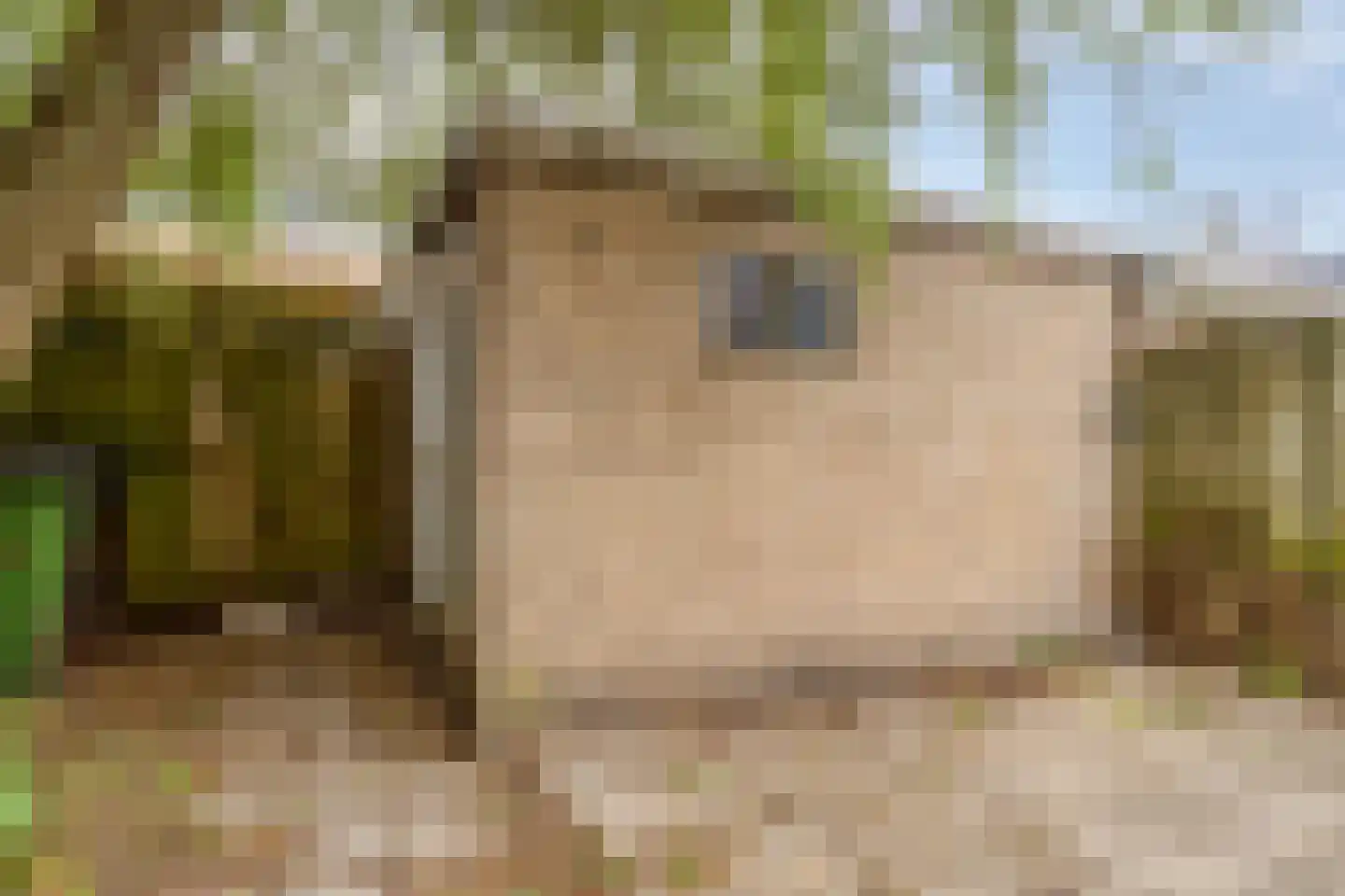 van der Duyn Van Maasdamstraat 7 Veghel thumbnail 10