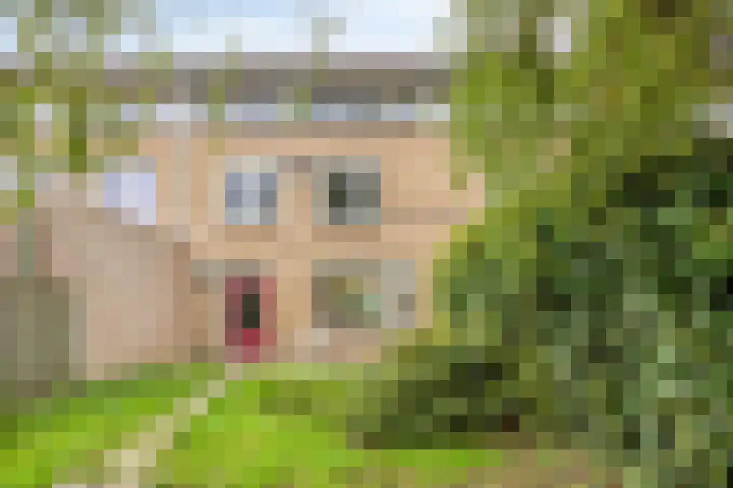 van der Duyn Van Maasdamstraat 7 Veghel thumbnail 12
