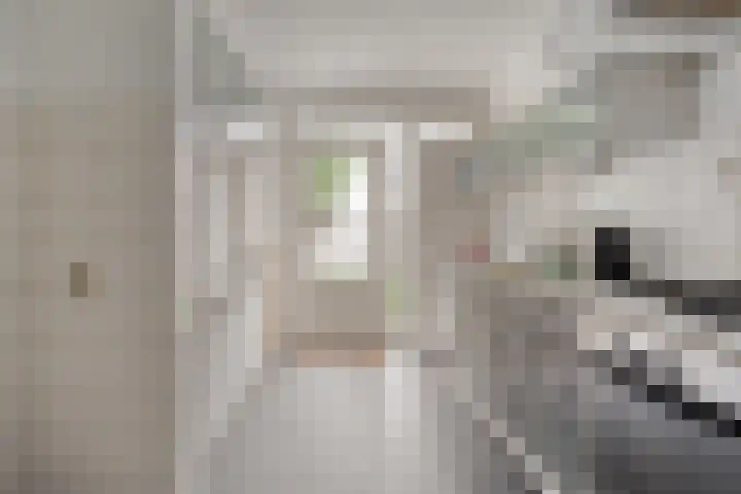 van der Duyn Van Maasdamstraat 7 Veghel thumbnail 7