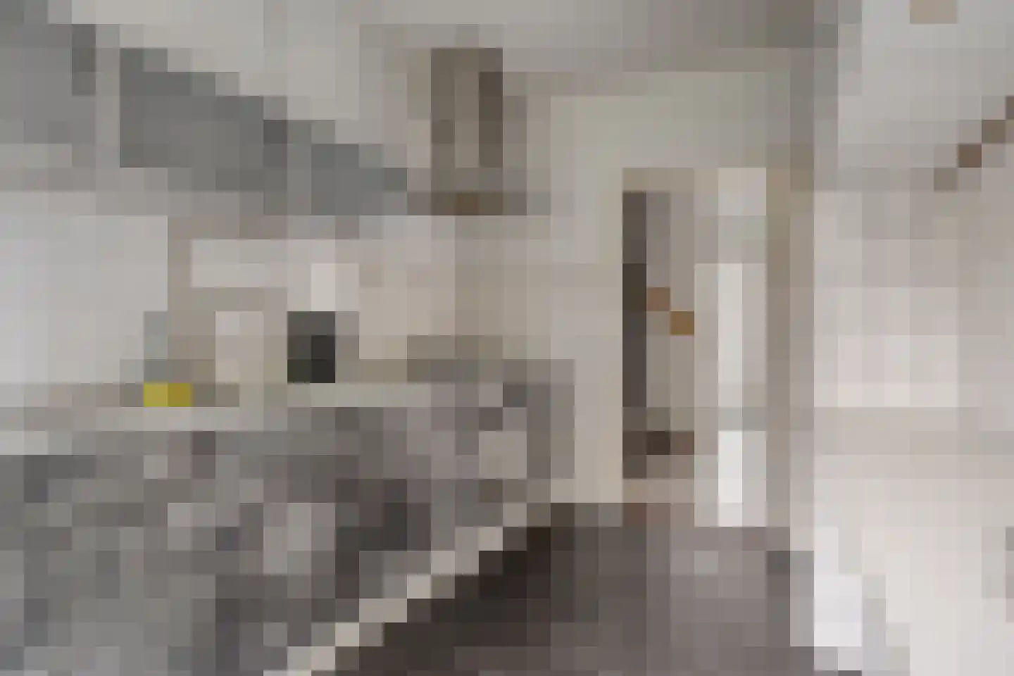 van der Duyn Van Maasdamstraat 7 Veghel thumbnail 8