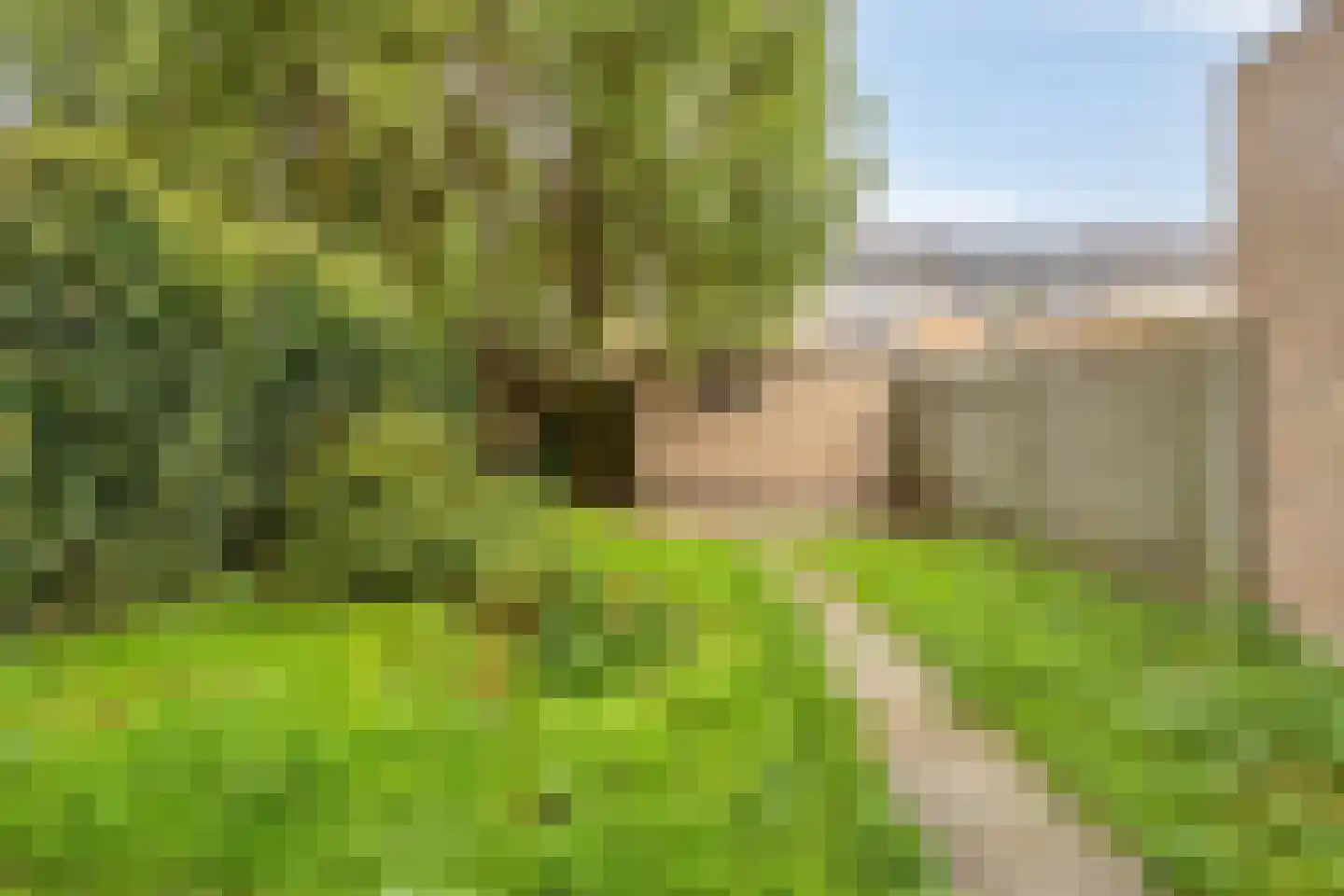van der Duyn Van Maasdamstraat 7 Veghel thumbnail 9