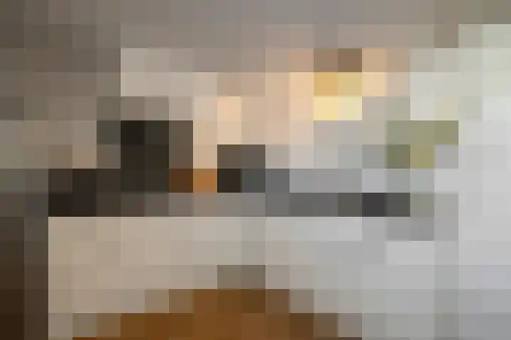 van der Duyn van Maasdamstraat 8 Den Helder thumbnail 11