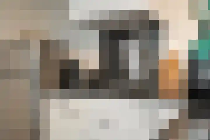 van der Duyn van Maasdamstraat 8 Den Helder thumbnail 12