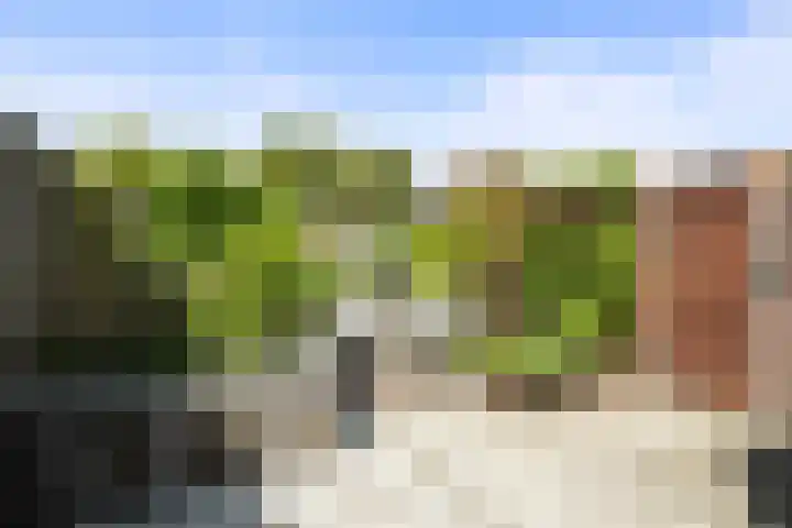 van der Duyn van Maasdamstraat 8 Den Helder thumbnail 16