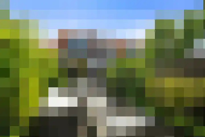 van der Duyn van Maasdamstraat 8 Den Helder thumbnail 18