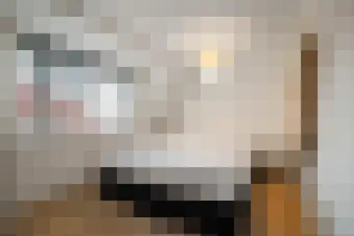 van der Duyn van Maasdamstraat 8 Den Helder thumbnail 19