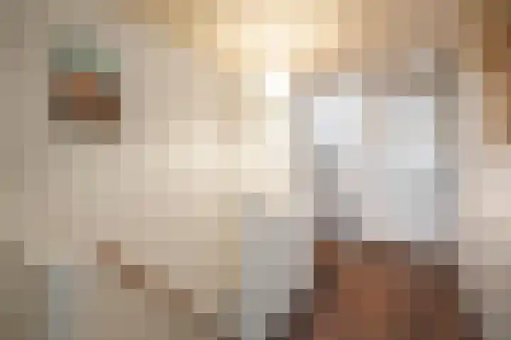 van der Duyn van Maasdamstraat 8 Den Helder thumbnail 22