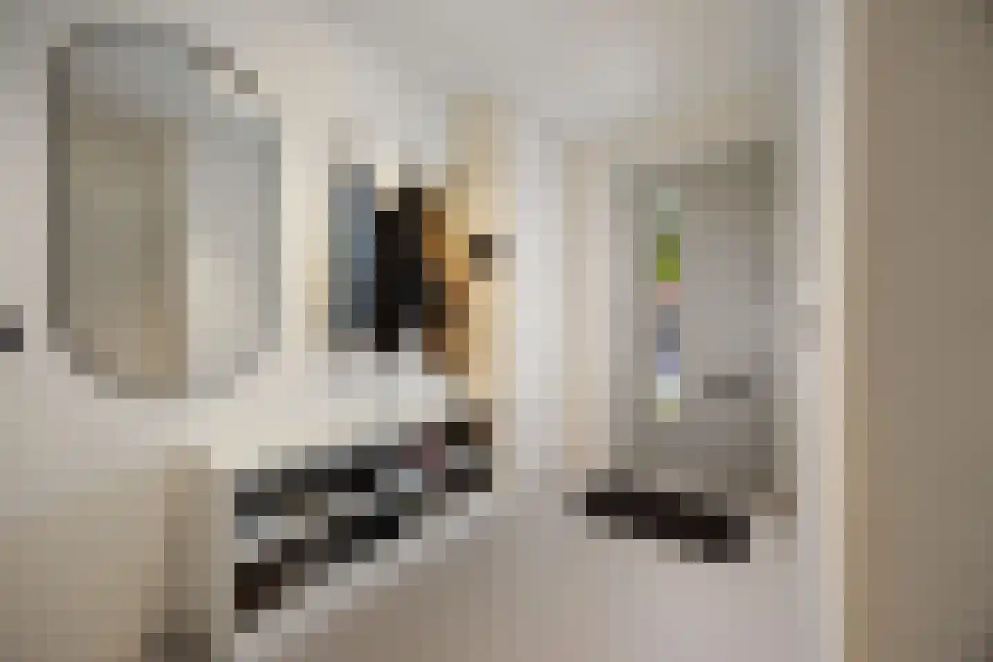 van der Duyn van Maasdamstraat 89 Nijmegen thumbnail 19